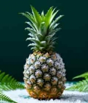  雪覆菠萝特写素材1436#横屏 	 