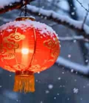  雪挂枝头的中式红灯笼素材2637#横屏 	 