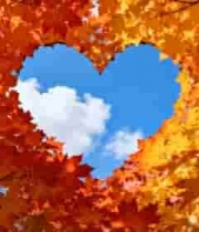  心形枫叶框景蓝天白云1160#横屏 	 