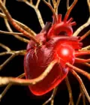  心脏与血管渲染素材2541#横屏 	 