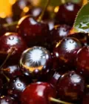  新鲜车厘子特写1672#横屏 	 - 