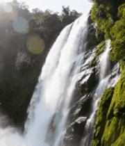 自然森林中的壮观瀑布613#横屏 