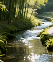 竹林中溪流旁石板路风光5170#横屏 