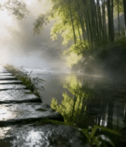 竹林间石板路阳光洒落景象5171#横屏 