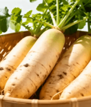 篮中新鲜白萝卜素材1587#横屏 