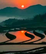  夕阳下的梯田风光2324#横屏 	 