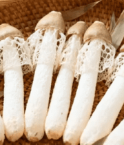 竹荪摆放在竹篮中的特写素材273#横屏 