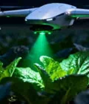  无人机在蔬菜种植基地飞行1612#横屏 	 