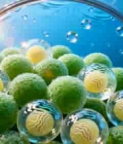  微观细胞美容护肤素材2234#横屏 	 - 