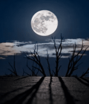 晚天空中高悬的满月4029#横屏 