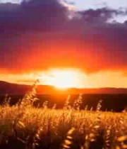  田野夕阳自然风光265#横屏 	 