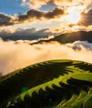  梯田自然风光日出景象2571#横屏 	 