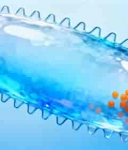  透明细菌内部结构展示1543#横屏 	 