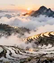  梯田云海日出景观1290#横屏 	 