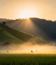  田园晨景中人物劳作画面119#横屏 	 - 