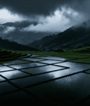 云雾笼罩下的梯田风光3147#横屏 