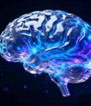  透明大脑渲染素材34#横屏 	 