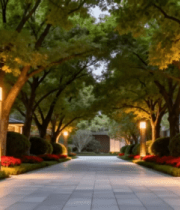 园林景观夜间林荫步道5193#横屏 