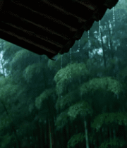 雨中竹林屋檐景象1098#横屏 