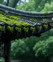雨中古建筑屋檐及青苔景象2868#横屏 