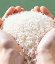  双手捧大米特写素材1819#横屏 	 