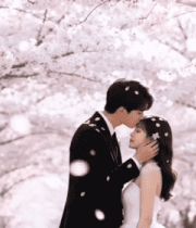 樱花树下情侣浪漫相拥567#横屏 