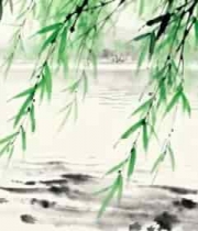  水墨柳树湖边风景427#横屏 	 