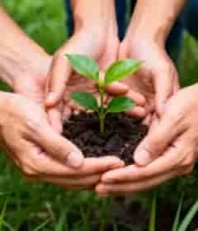  双手呵护幼苗生长画面1728#横屏 	 