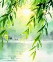  水墨风垂柳湖水风景1469#横屏 	 