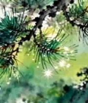  水墨风格松树枝叶画面645#横屏 	 