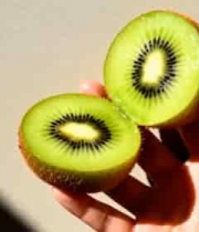  手持切开的猕猴桃特写1754#横屏 	 