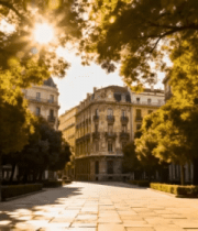 阳光照耀下的城市林荫街道2042#横屏 