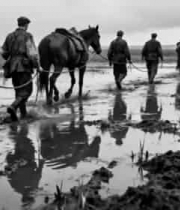  士兵牵马涉水行进画面2765#横屏 	 