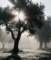 阳光穿透云层景象4836#横屏 