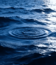 阳光下的海面波浪景象981#横屏 