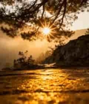  山林间日出阳光洒落场景2300#横屏 	 