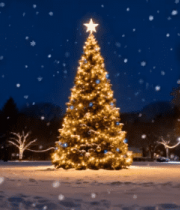 雪夜中装饰精美的圣诞树280#横屏 