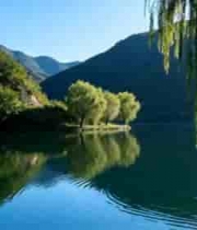  山水间垂柳倒映湖景586#横屏 	 