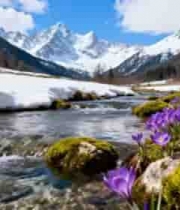  山间溪流旁绽放的紫色花朵1726#横屏 	 -