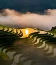  山间梯田晨景1408#横屏 	 - 