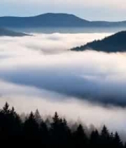  山间云海森林风景1415#横屏 	 