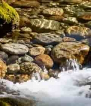  山间溪流与水底鹅卵石画面2793#横屏 	 