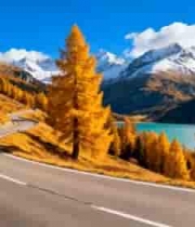  山间公路秋日自然风光2562#横屏 	 