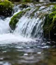  山间溪流潺潺流动景象724#横屏 	 