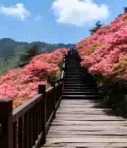  山间梯田自然风光2270#横屏 	 