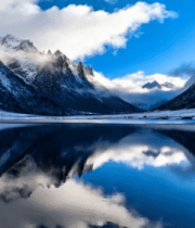 雪地中站立的驯鹿4567#横屏 