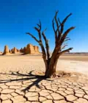  沙漠日落景色2437#横屏 	 