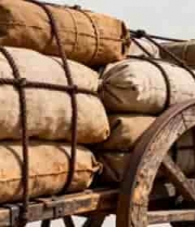  装载麻袋的木质手推车素材2027#横屏 	 