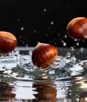  榛子入水溅起水花特写1327#横屏 	 