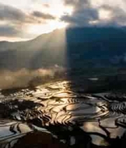  元阳梯田日出风光1225#横屏 	 -